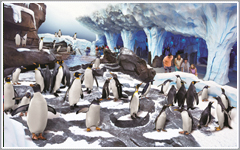 SeaWorld Orlando Attractions